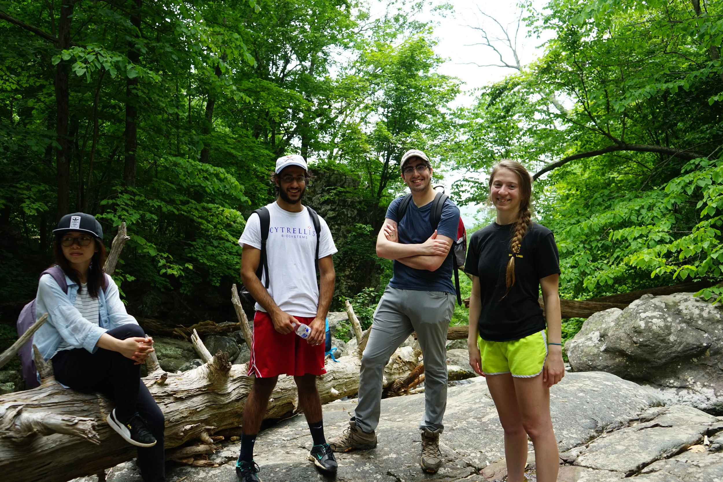 Shenandoah National Park, June 2017