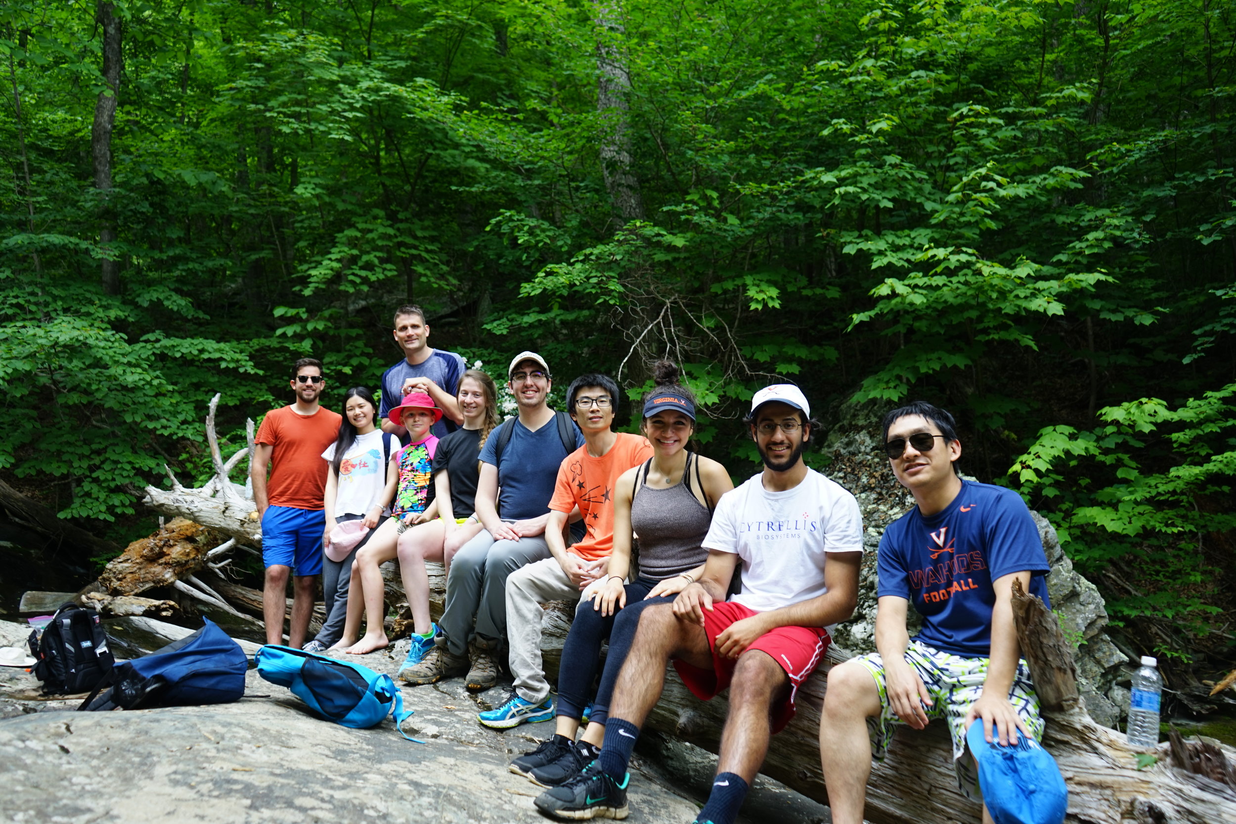 Shenandoah National Park, June 2017