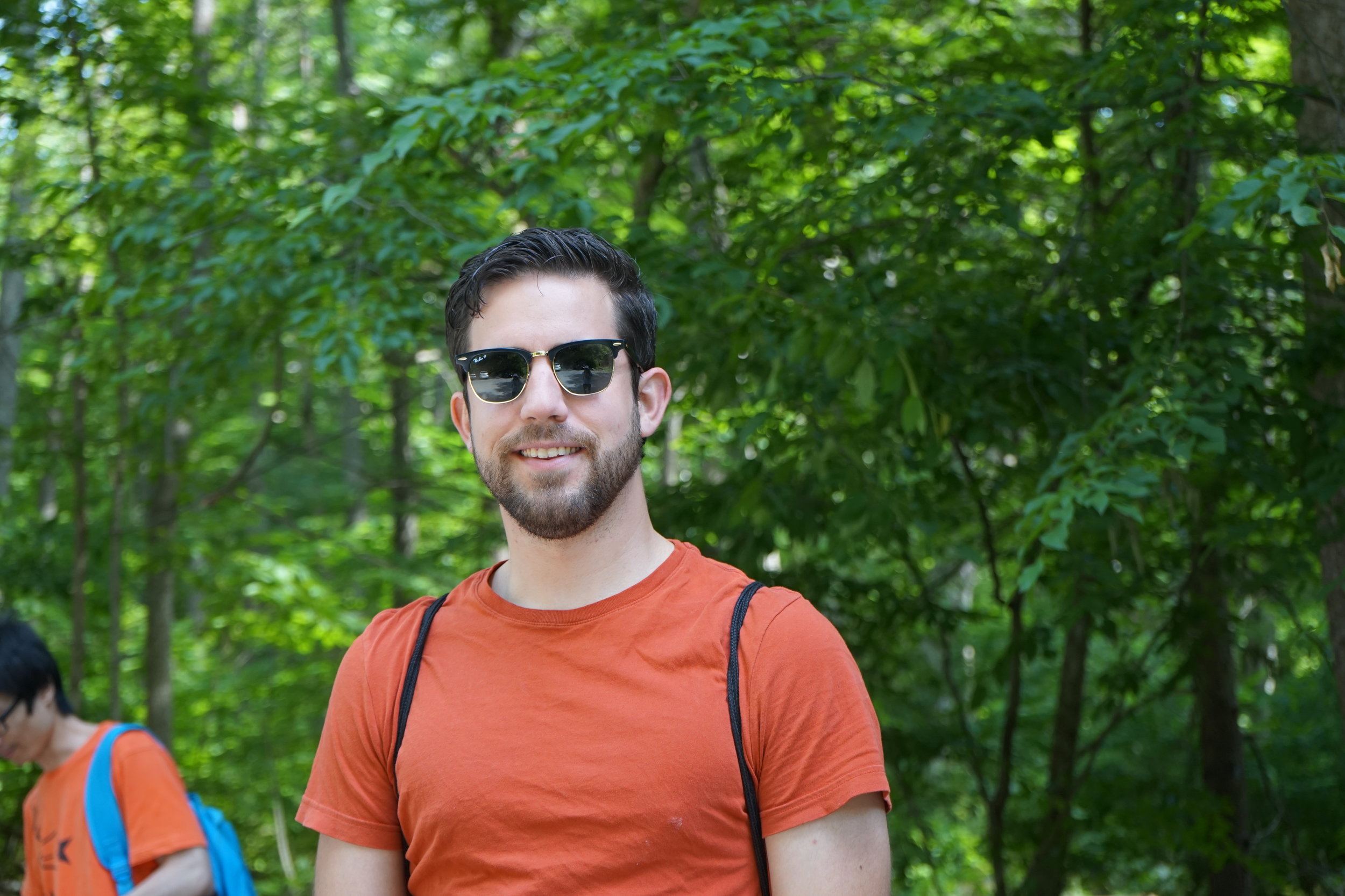 Shenandoah National Park, June 2017