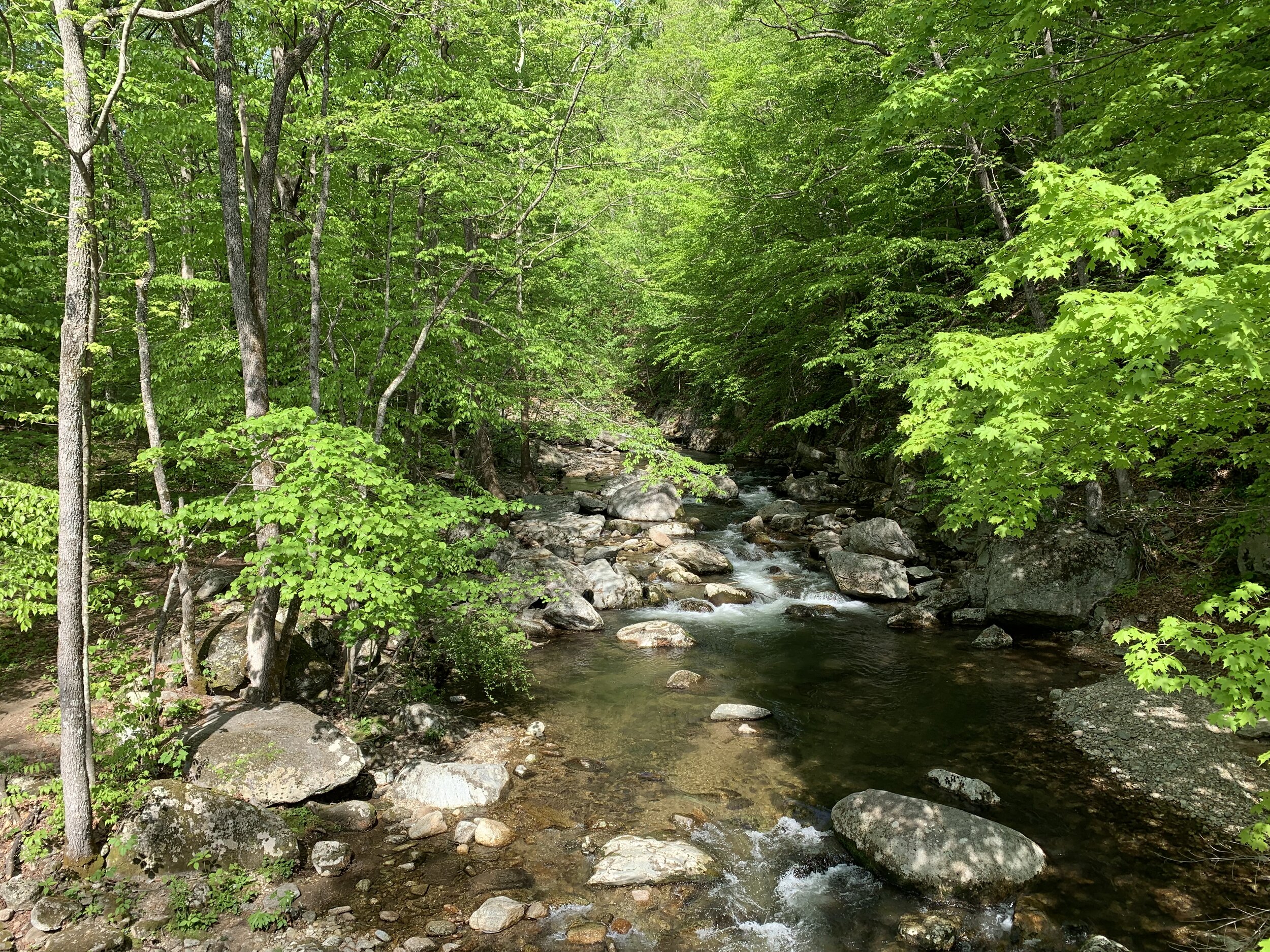 Crabtree Falls, May 2019