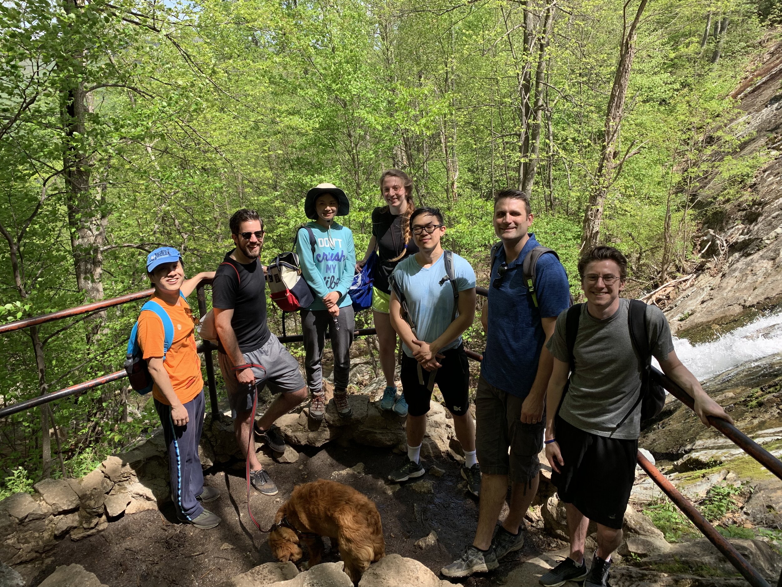 Crabtree Falls, May 2019