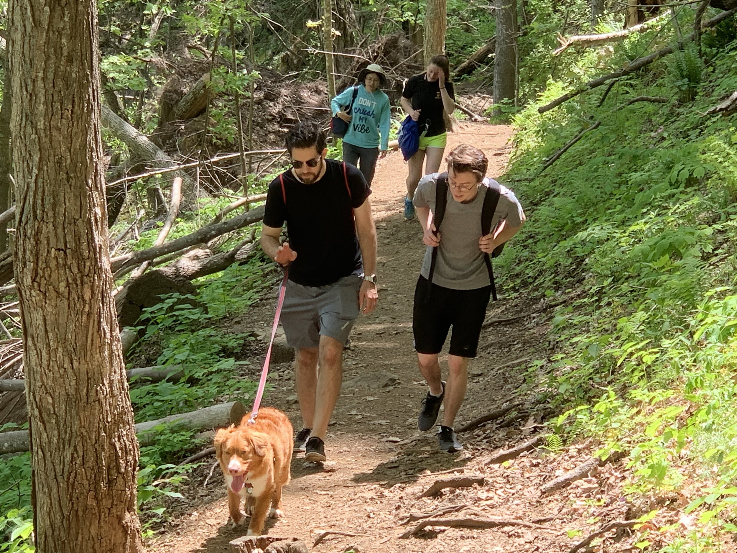 Crabtree Falls, May 2019