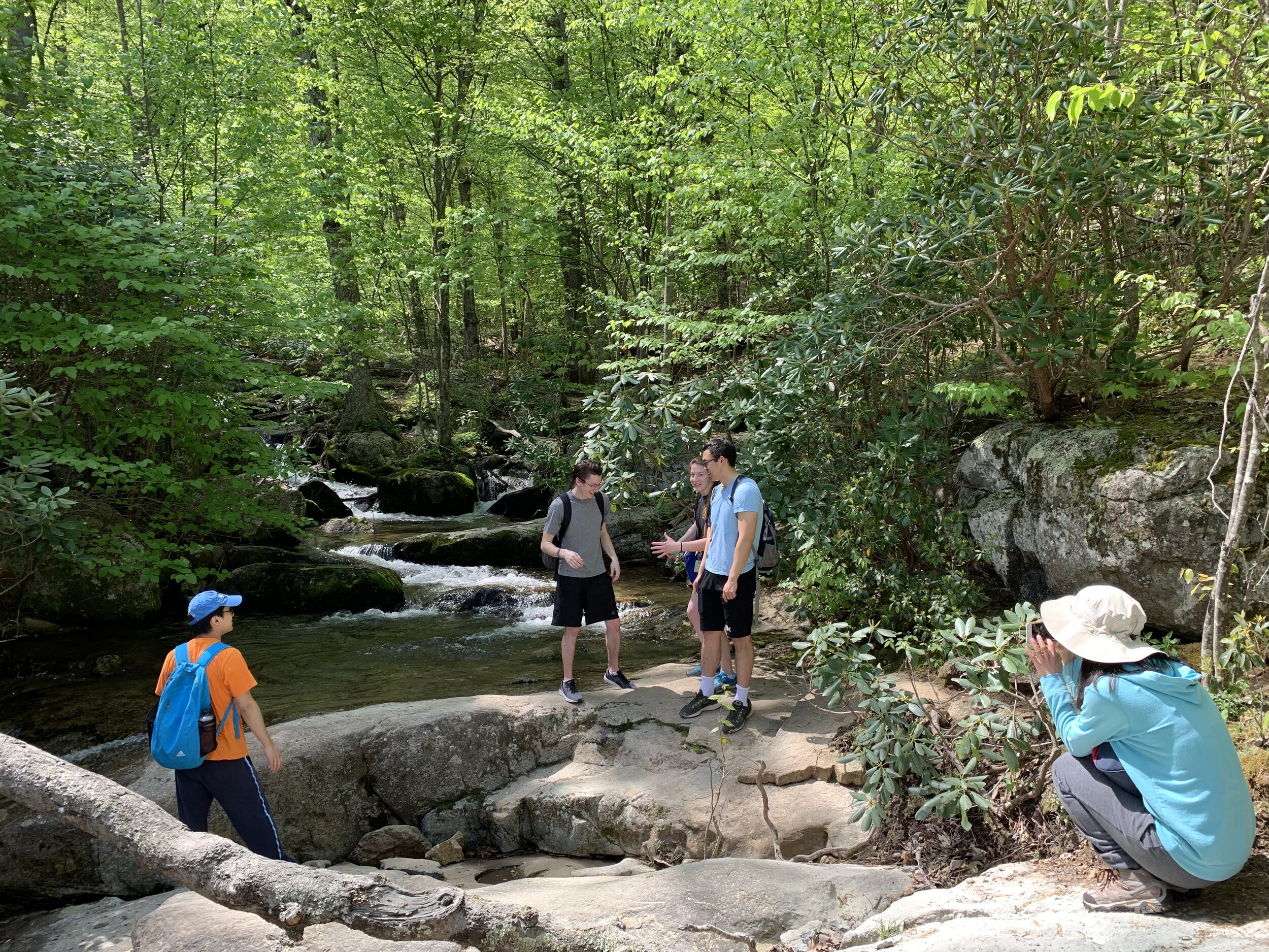 Crabtree Falls, May 2019