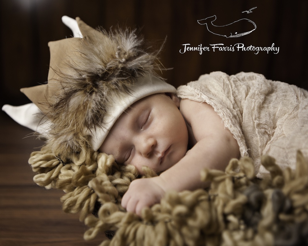  Where the Wild Things Are Themed Newborn Photo Session | Jennifer Farris Photography | as seen on GiggleHearts.com 