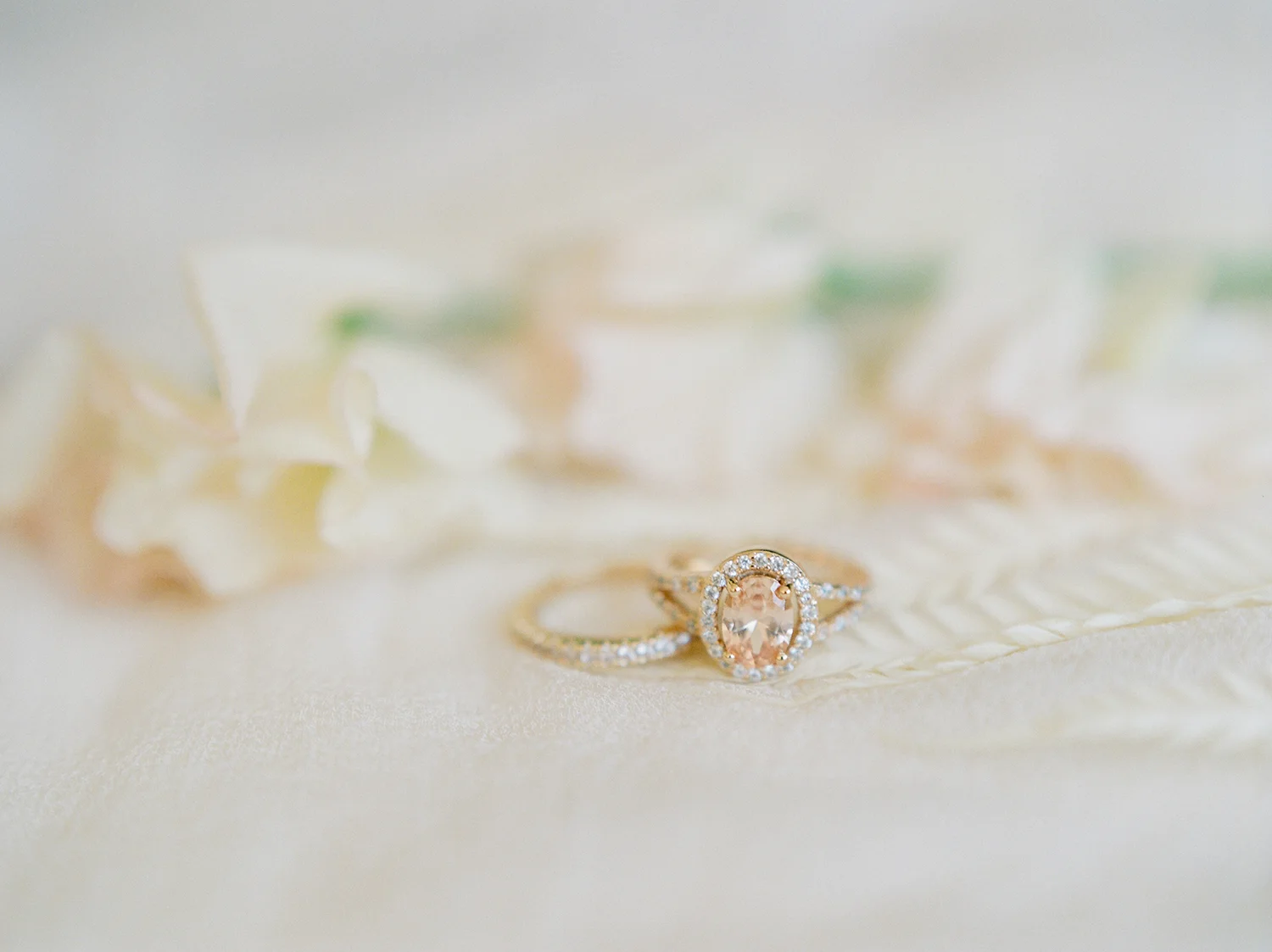Stephanie Sunderland Photography