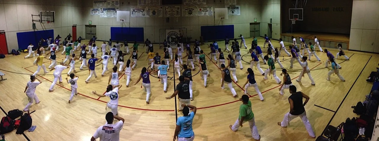 image-asset (1).jpeg