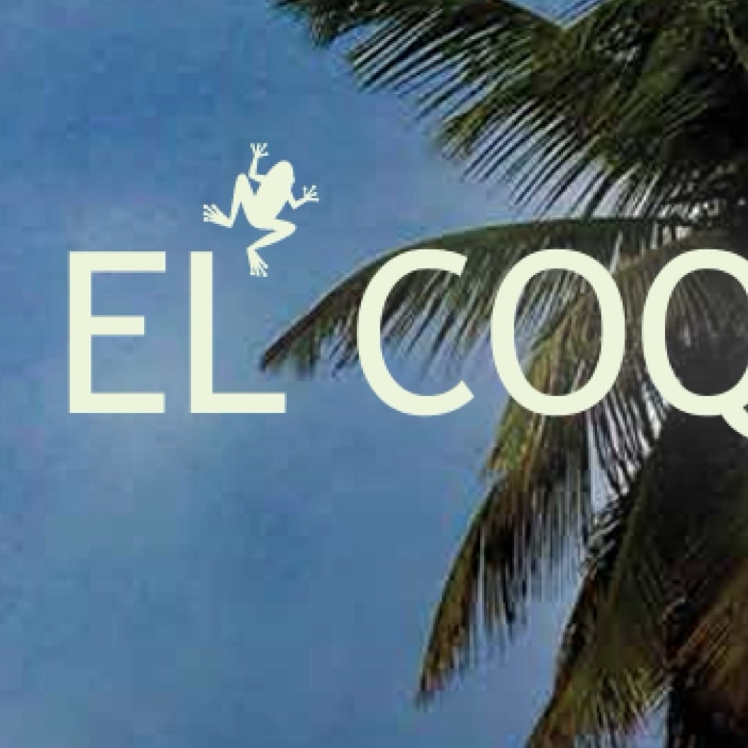 &iquest;Ya le&iacute;ste nuestra edici&oacute;n de Noviembre 2024? Disfruta de un buen ba&ntilde;o de sol, de unas festividades con seres queridos o de una buena lectura con tu caf&eacute; luego de meditar junto a #elcoqu&iacute;ofrincon.

Si deseas 