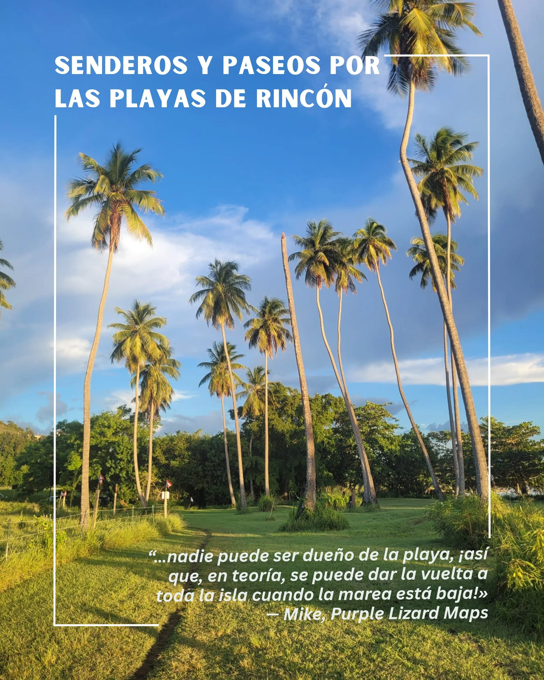 🥥🌴Senderos y paseos por las playas de Rinc&oacute;n🌴🥥
Pasear por la costa de Rinc&oacute;n siempre es una experiencia maravillosa. Disfrutas del paisaje marino, la brisa del oc&eacute;ano, la fauna, el terreno bajo tus pies y, lo mejor de todo, l