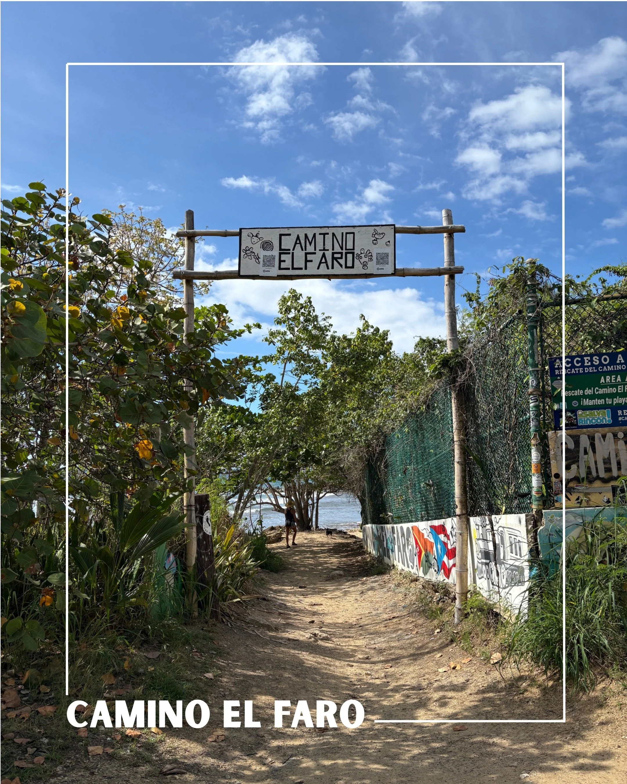 🥥🌴Senderos y paseos por las playas de Rinc&oacute;n🌴🥥
Pasear por la costa de Rinc&oacute;n siempre es una experiencia maravillosa. Disfrutas del paisaje marino, la brisa del oc&eacute;ano, la fauna, el terreno bajo tus pies y, lo mejor de todo, l