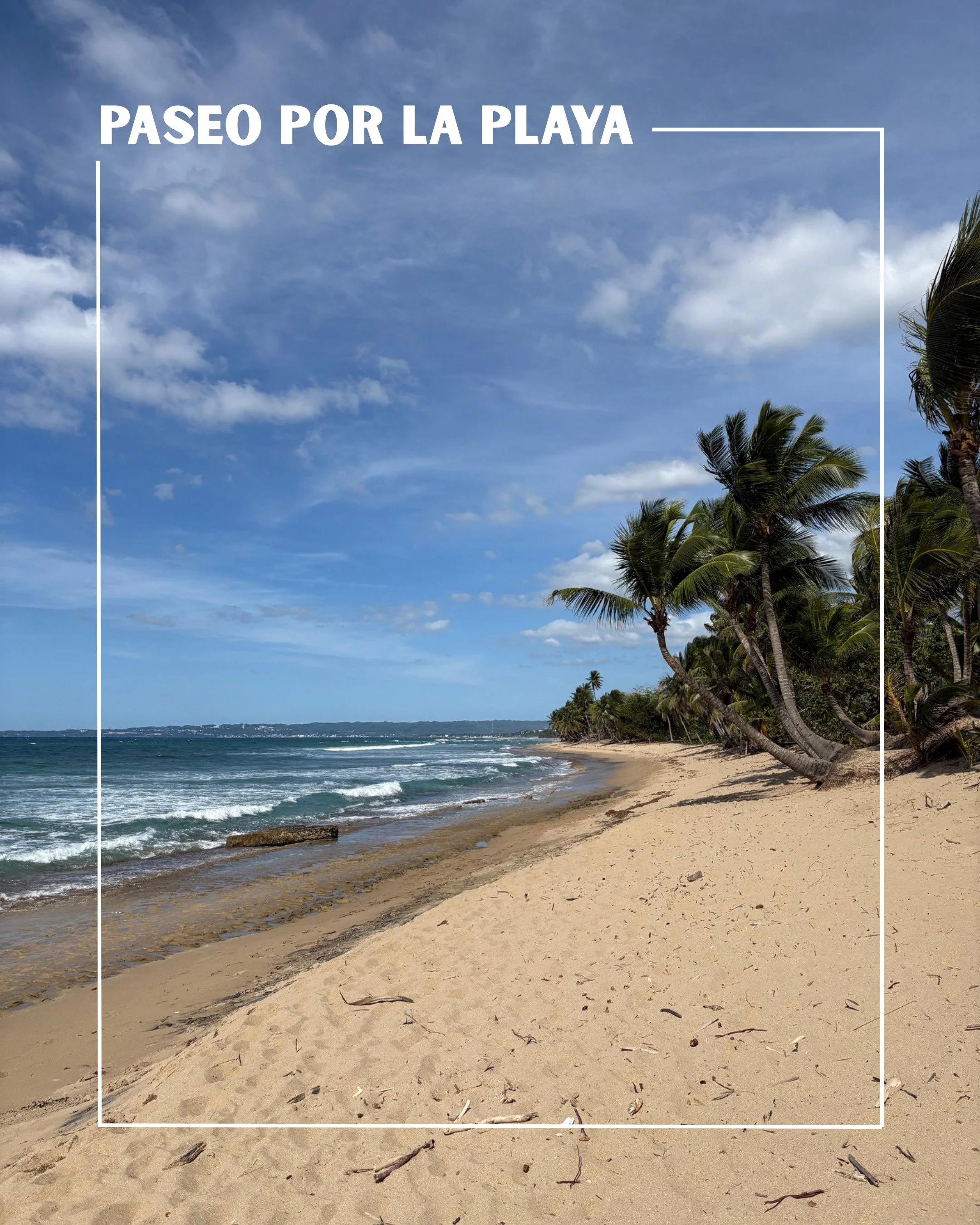 🥥🌴Senderos y paseos por las playas de Rinc&oacute;n🌴🥥
Pasear por la costa de Rinc&oacute;n siempre es una experiencia maravillosa. Disfrutas del paisaje marino, la brisa del oc&eacute;ano, la fauna, el terreno bajo tus pies y, lo mejor de todo, l