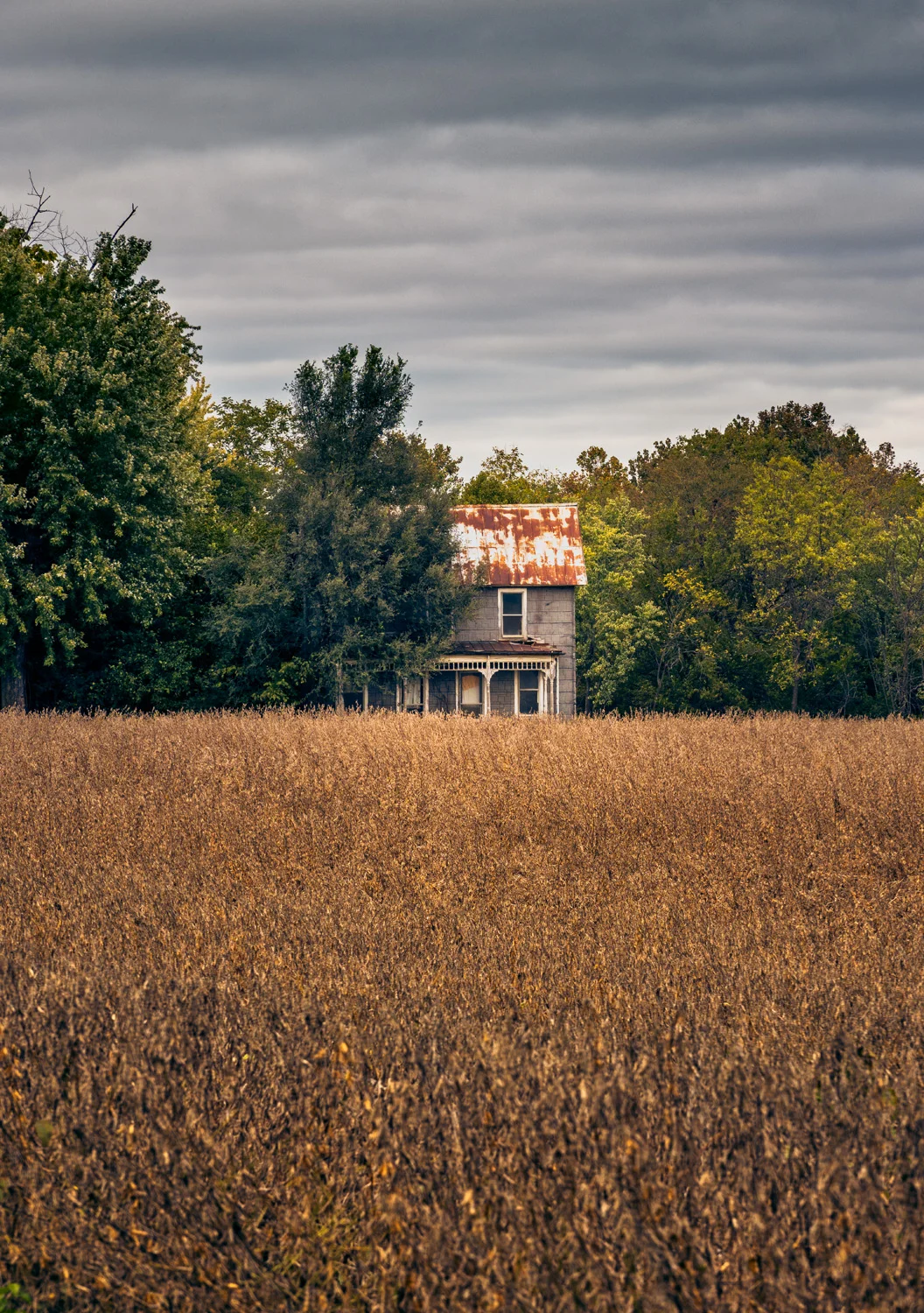 1810 House with Field 1.jpg
