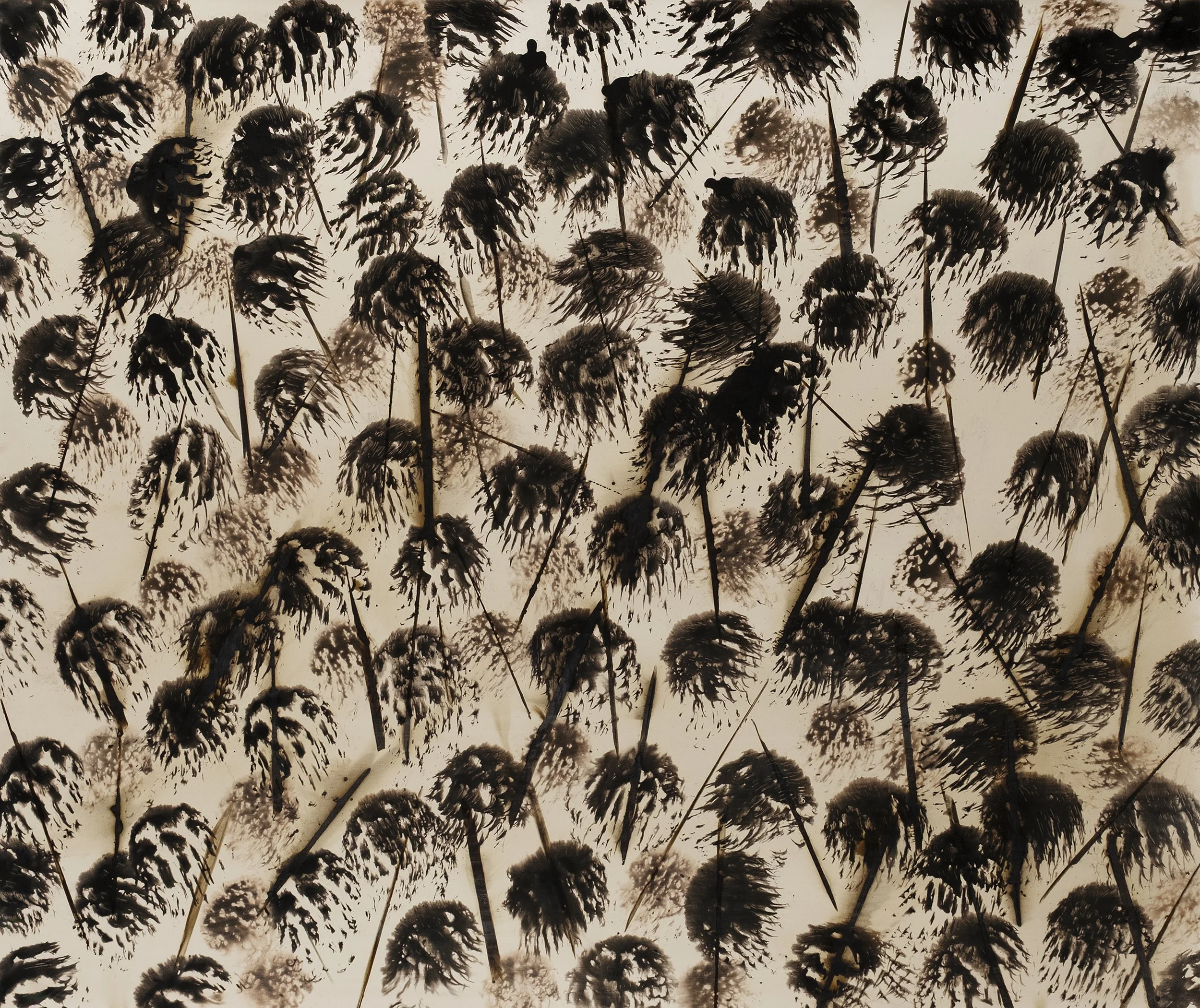 1_franklopez_seeds_no1.jpg