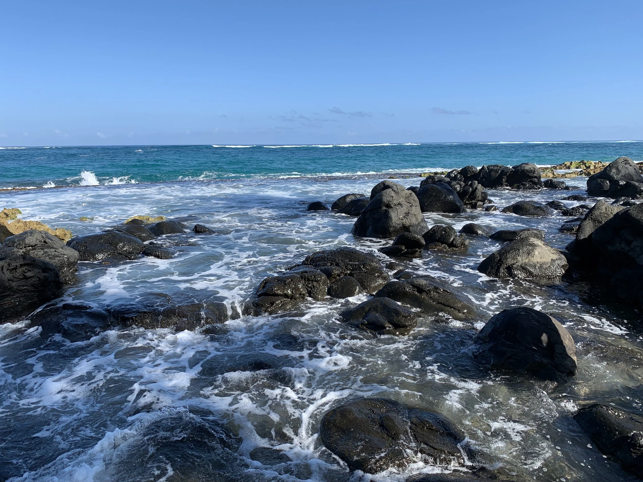 hawaii rocky beach.jpg