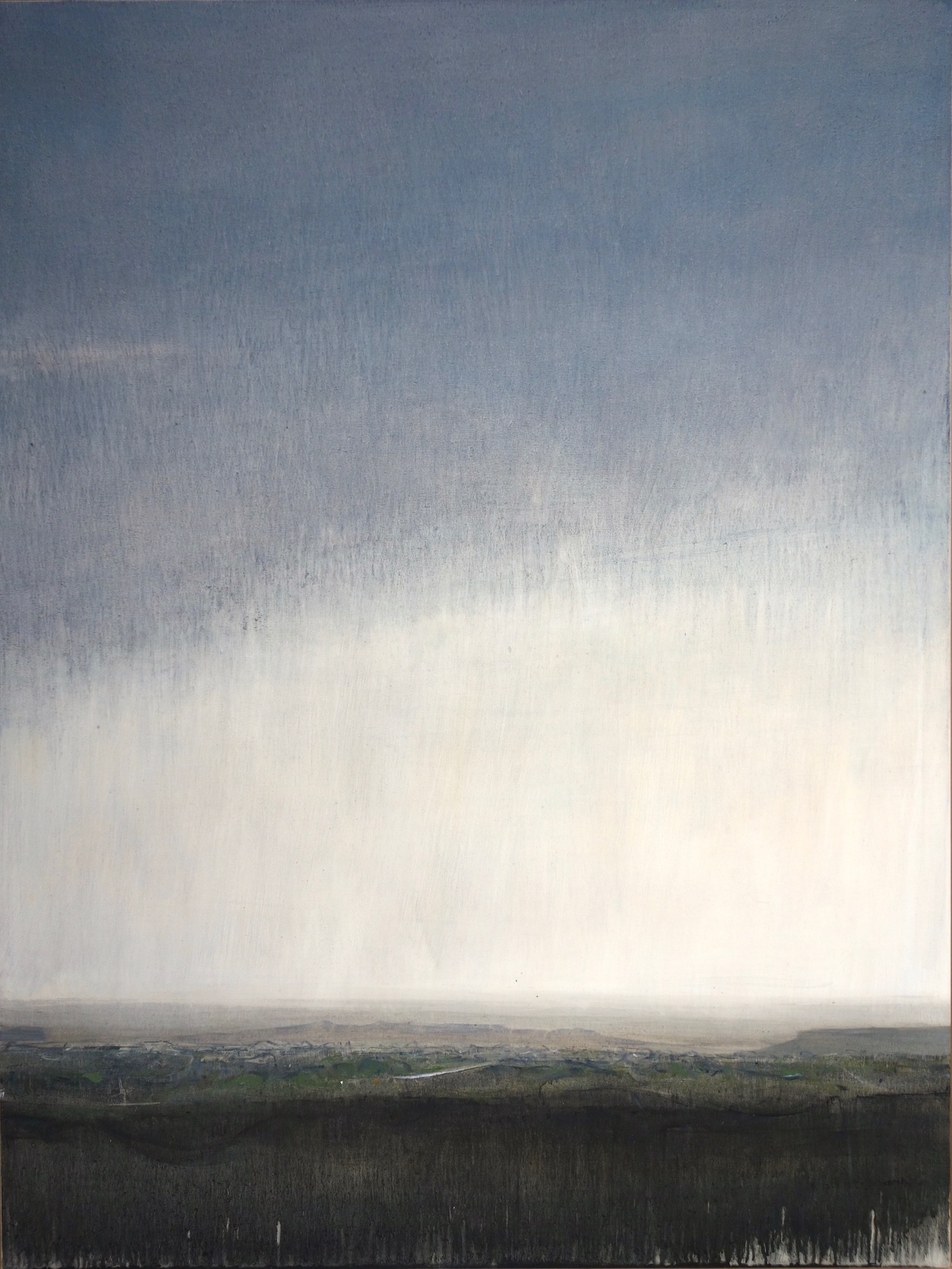 Corvus oil on panel 48 x 36” 2018