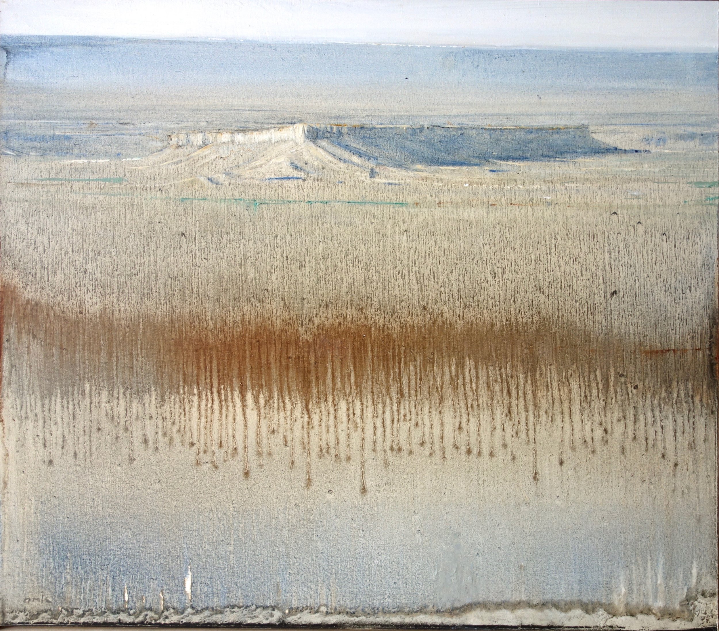 Bluff oil on panel 14 x 16” 2019