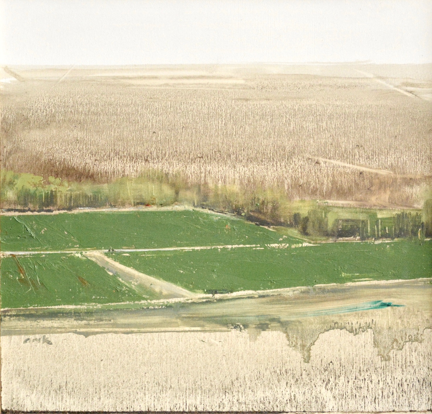 Field I oil on panel 12 x 11" 2016