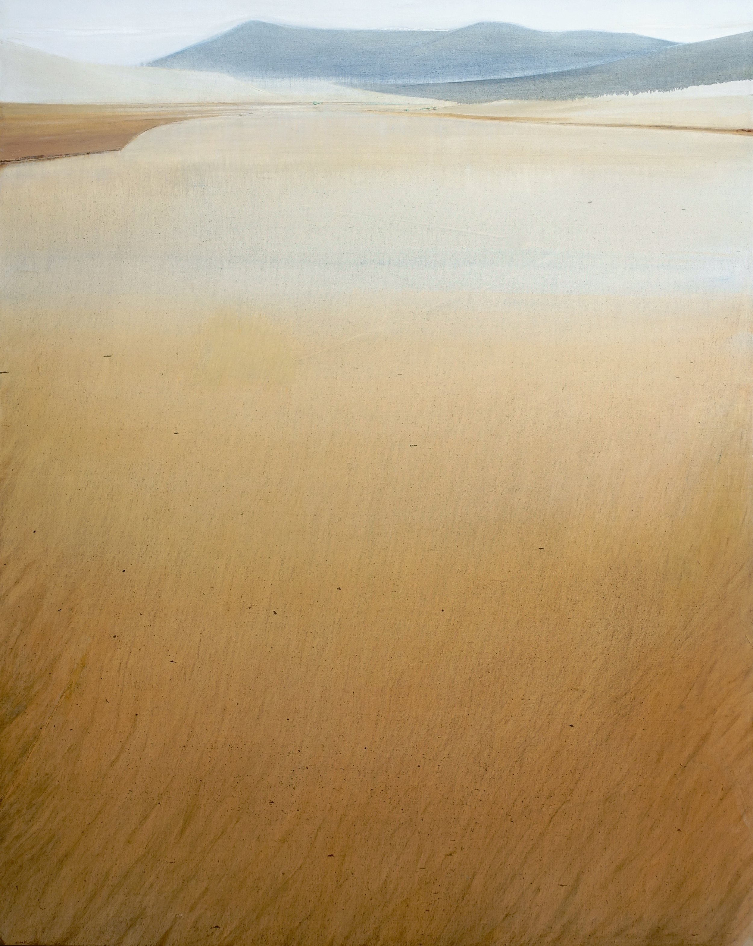 Medano oil on linen 60 x 48" 2024