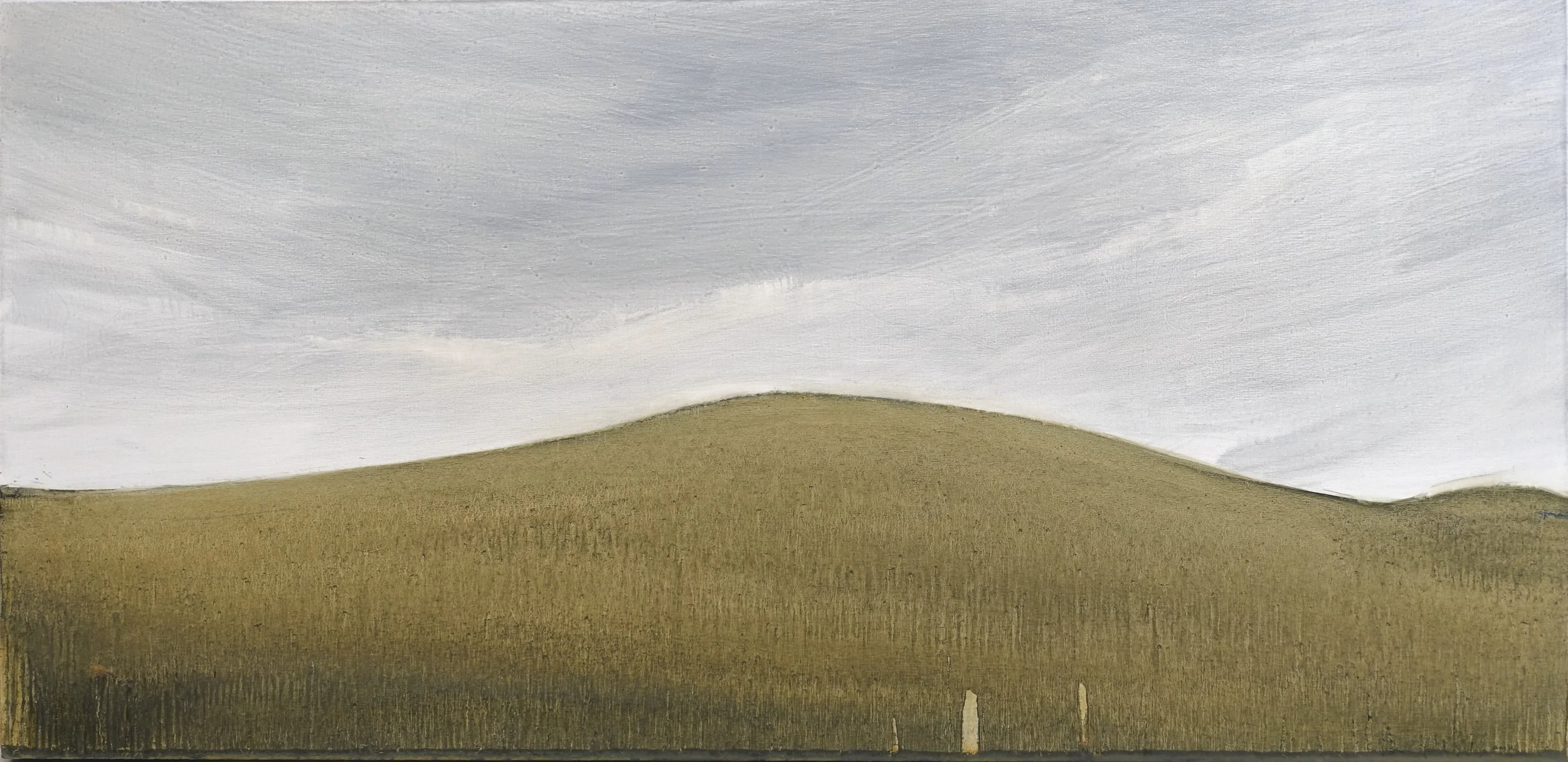   Cedar Rise   oil on panel  23 × 47”  2026     