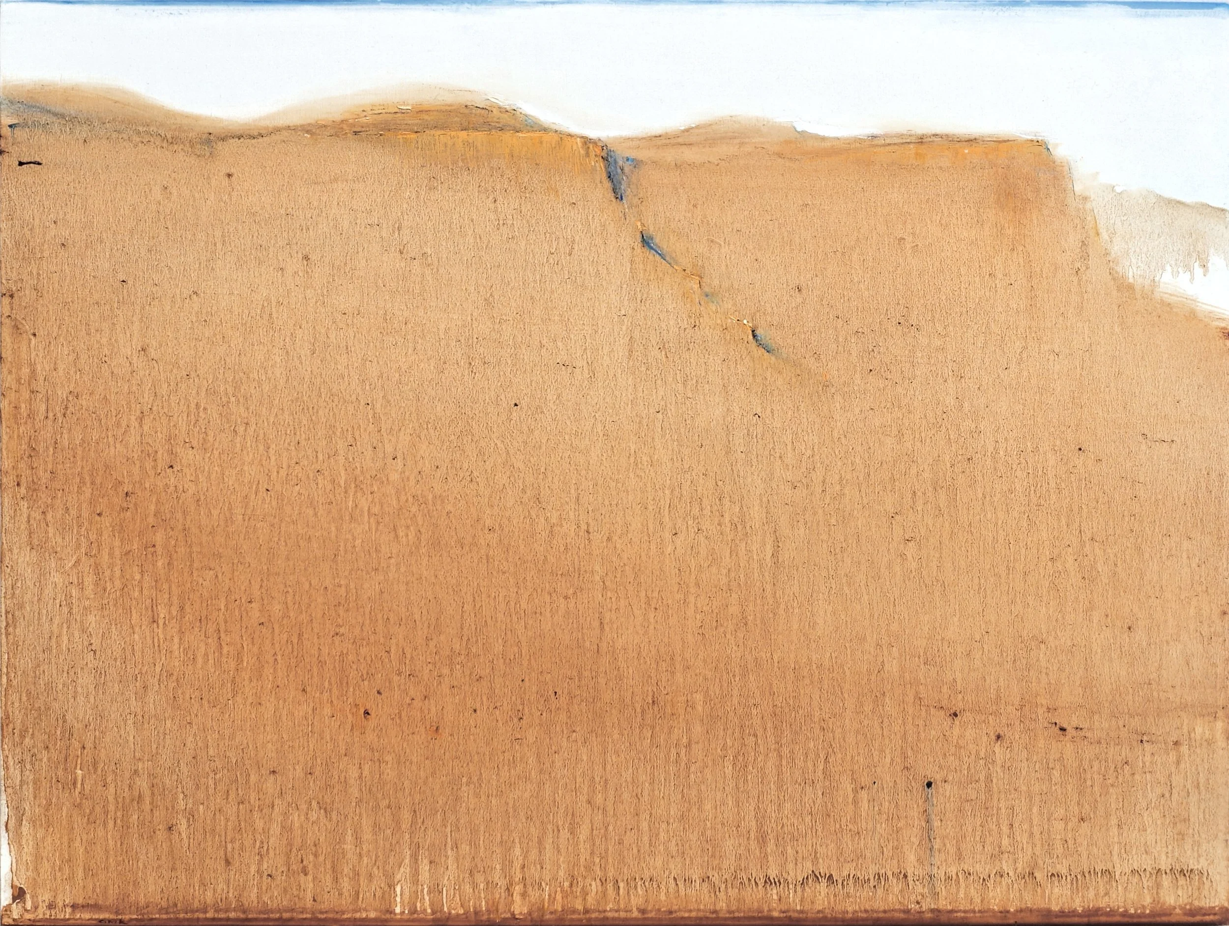   Orange Sulfur   oil on panel  17.5 × 23.5”  2026     