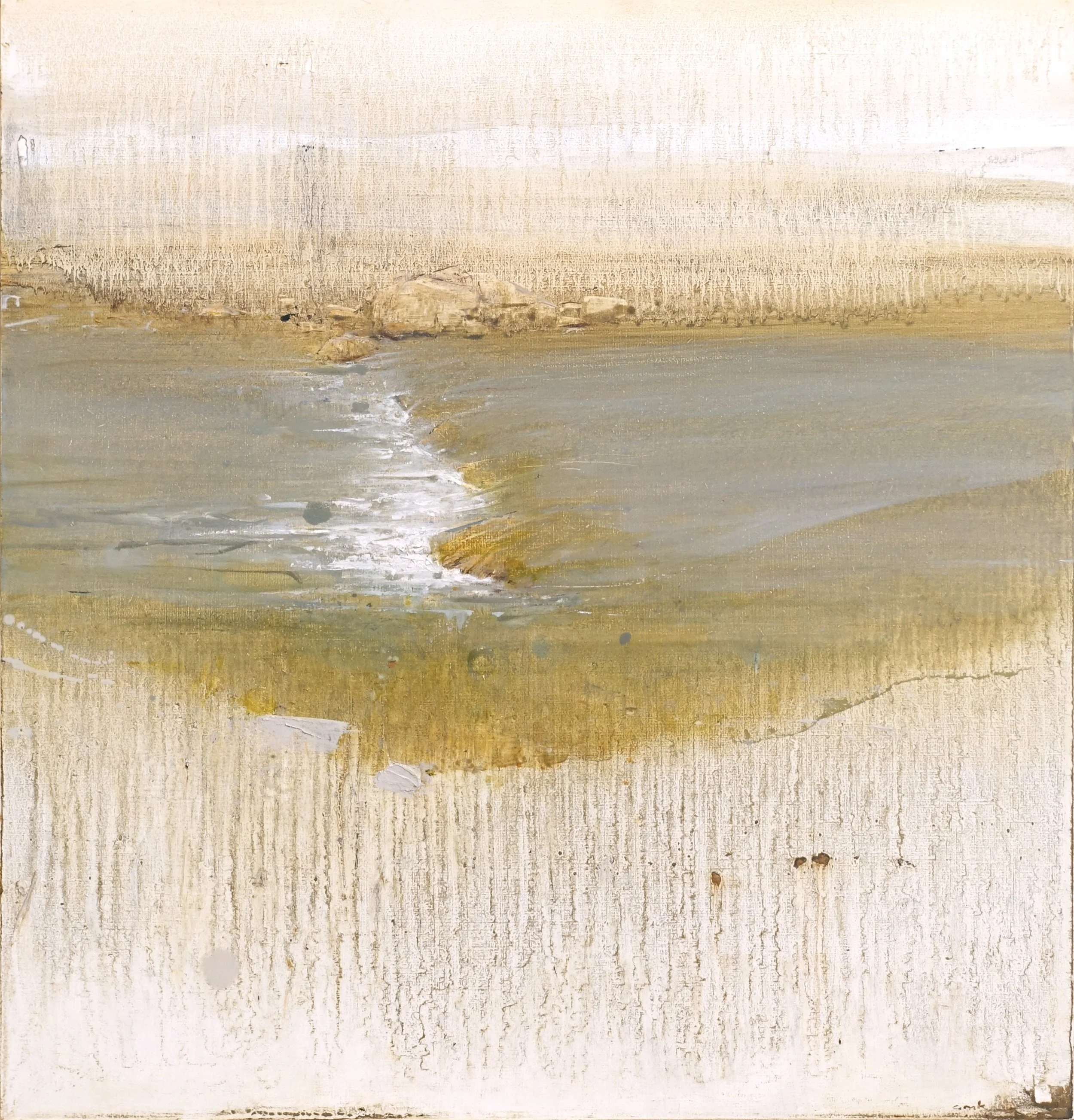   Cinclus   oil on panel  17 × 16”  2026     