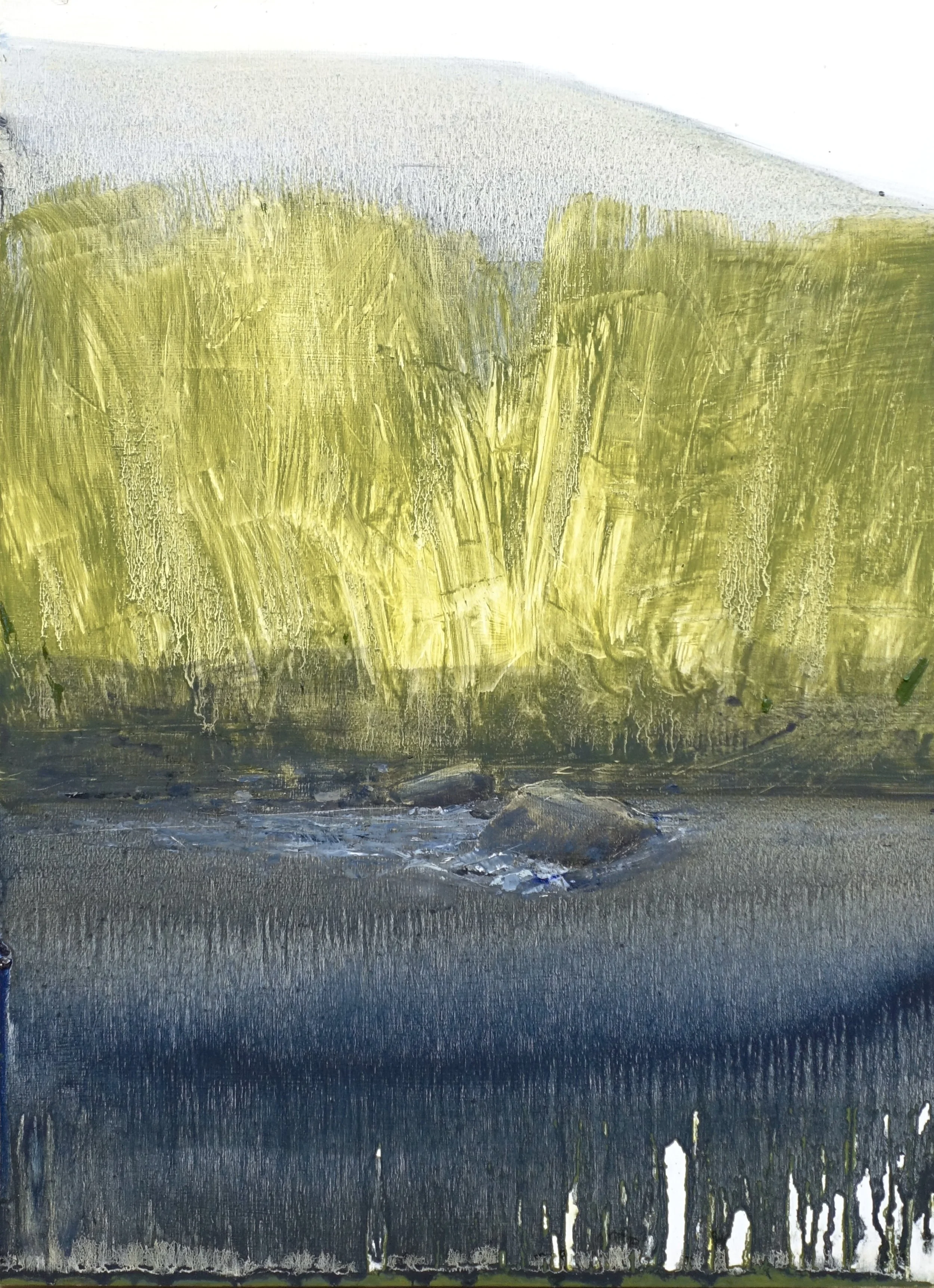   Backlit River   oil on panel  16 × 12”  2026     