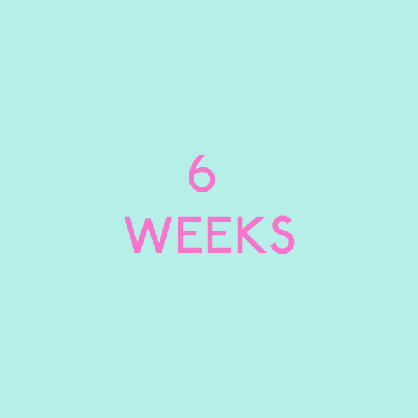 6 weeks.png