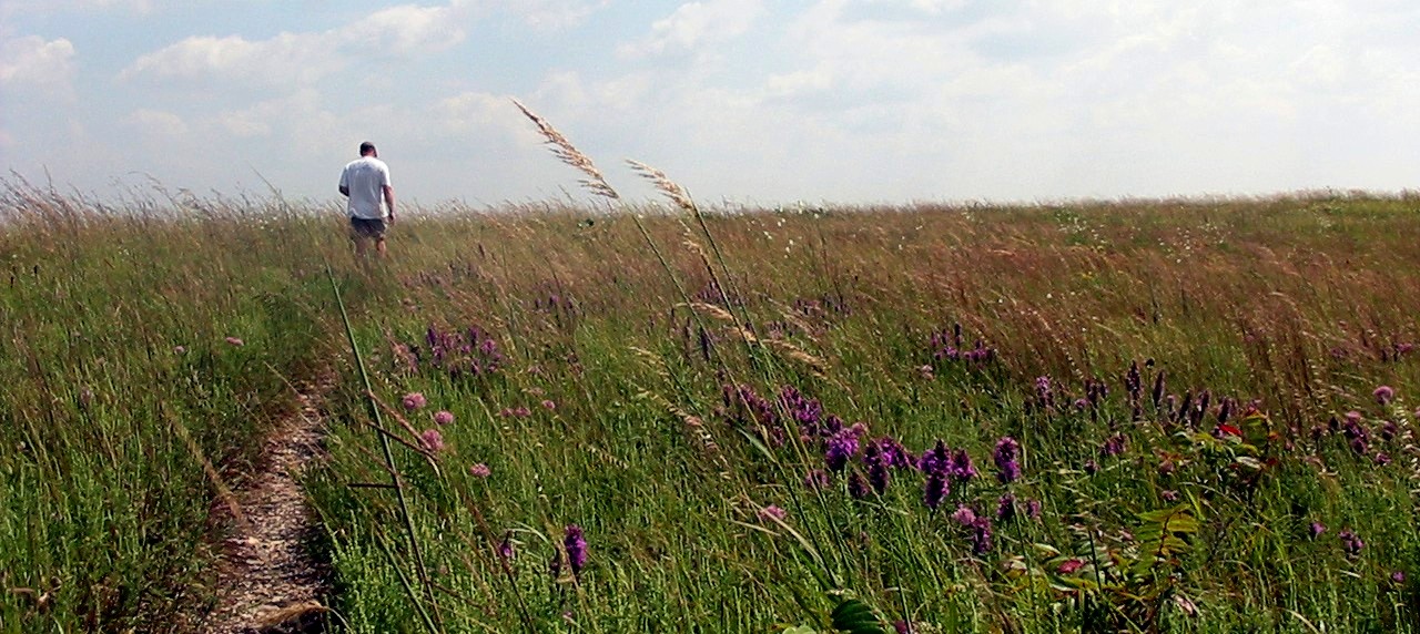 Prairie 2.jpg