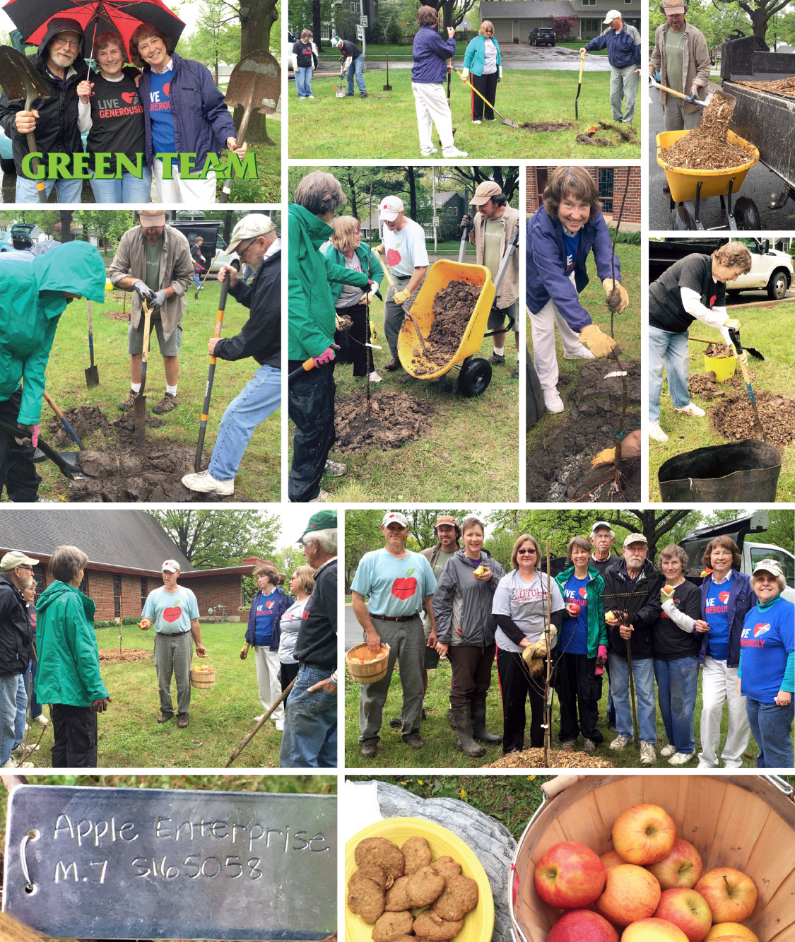 Giving Grove Orchard Planting