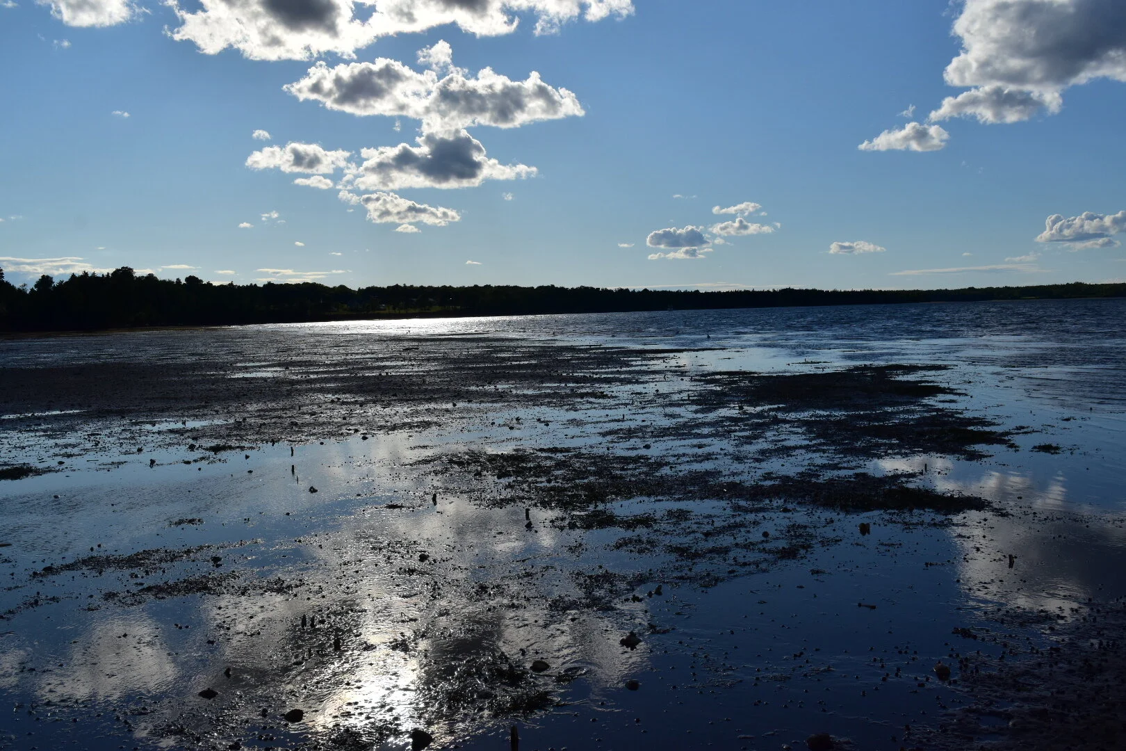 Episode 97: No Water Walking Required