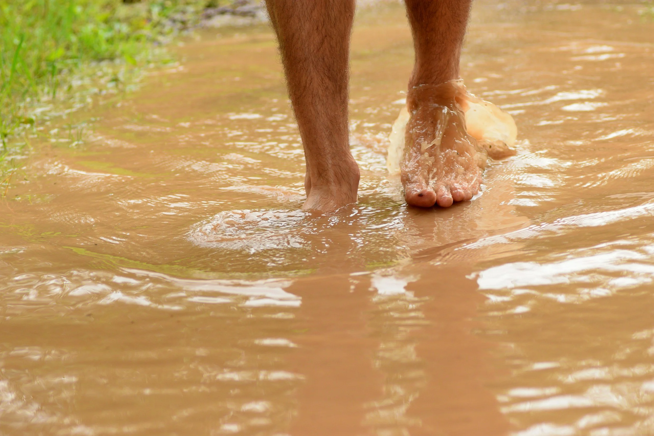 Episode 215: Muddy Waters