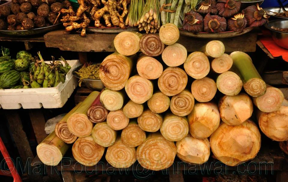 Banana Bark for Cooking Mohinga (Burmese Lemongrass Fish Soup)