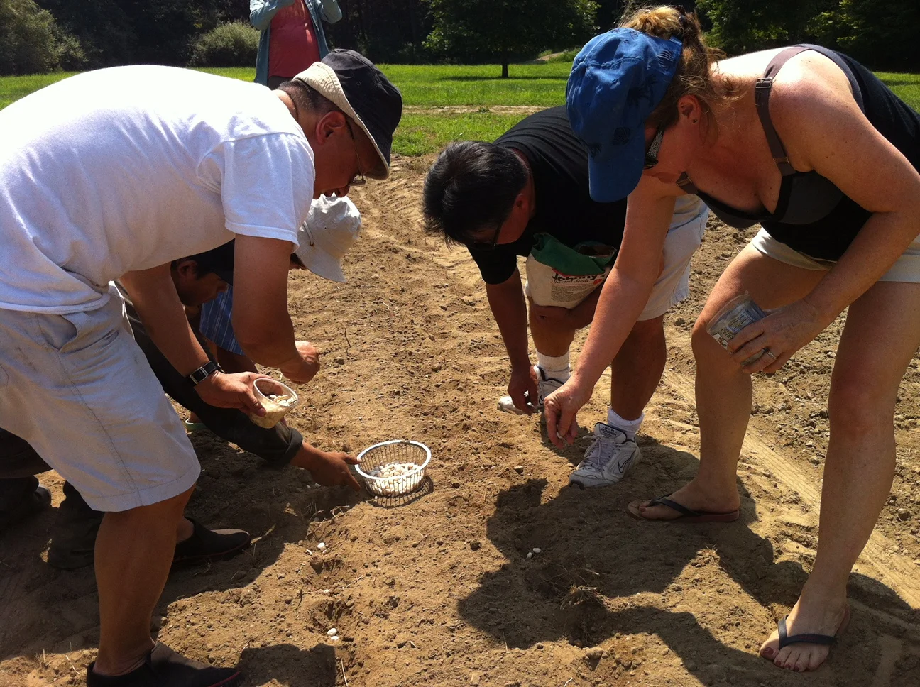 Give a hand to your local farmers