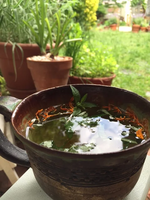 Clover Timothy Calmmunity Tea with snips of Lemon Verbena and Calendula from my garden