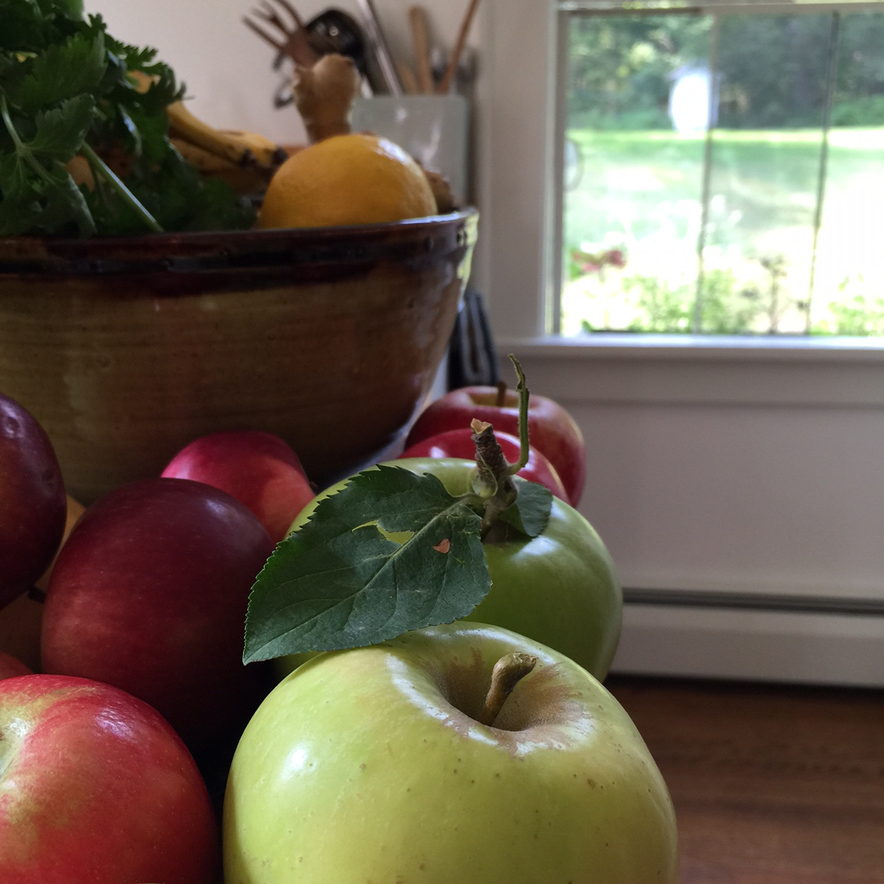 Freshly picked apples cheer our kitchen table.