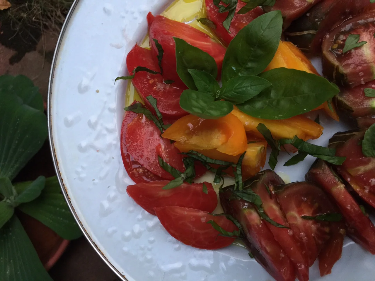 Tomato taste test: black prince heirloom is my favorite.