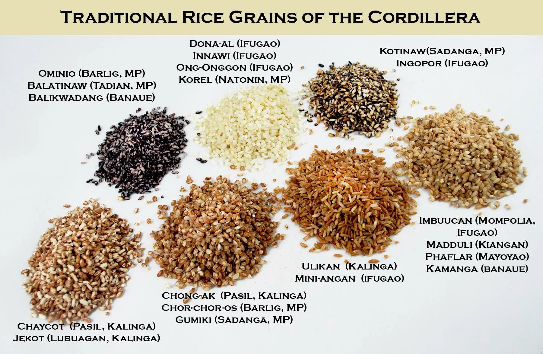 Photo by Mary Hensley, a former US Peace Corps volunteer, who for thirty years remembered the wonderful aroma of this rice while it was cooking. She runs the Cordillera Heirloom Rice Project. 