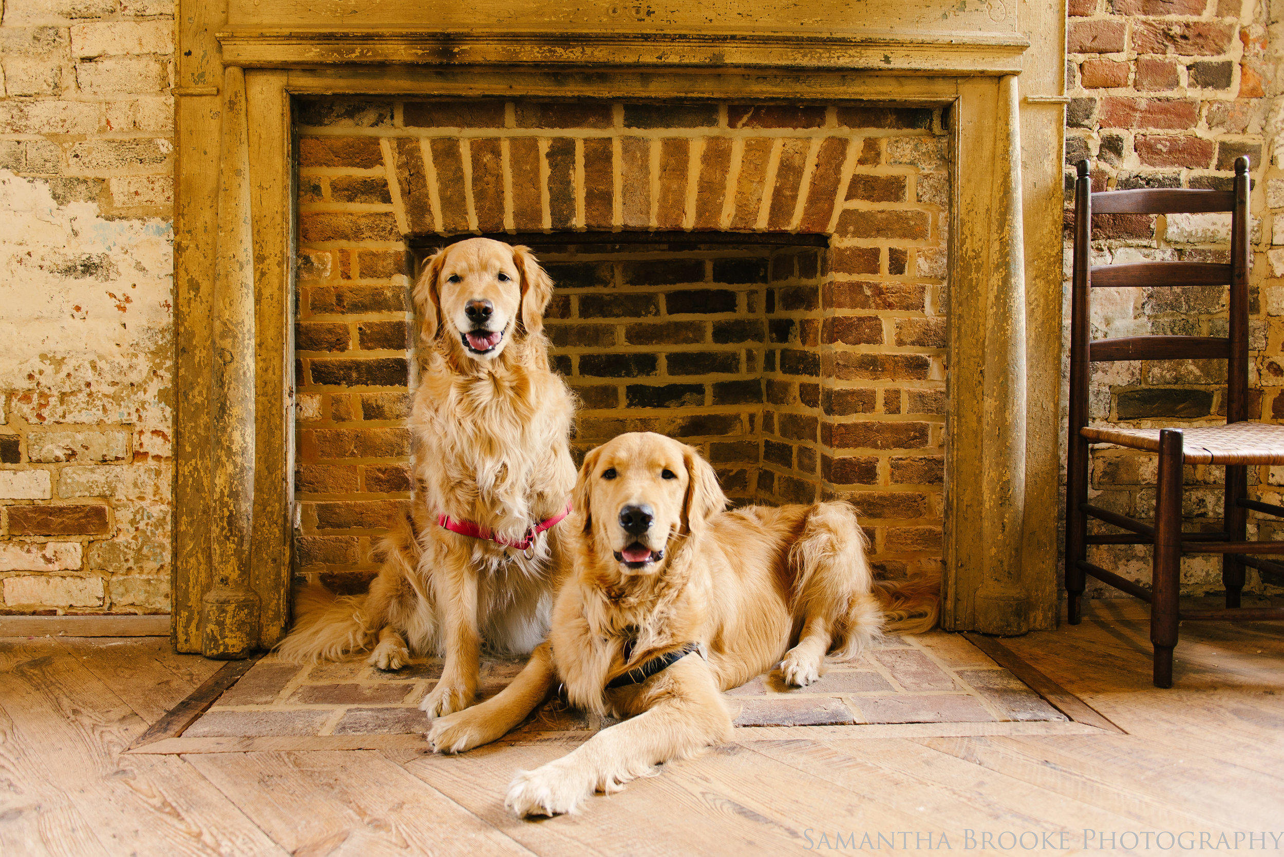 Koa and Aspen sit inside one of the fireplaces at historic Aldie Mill.