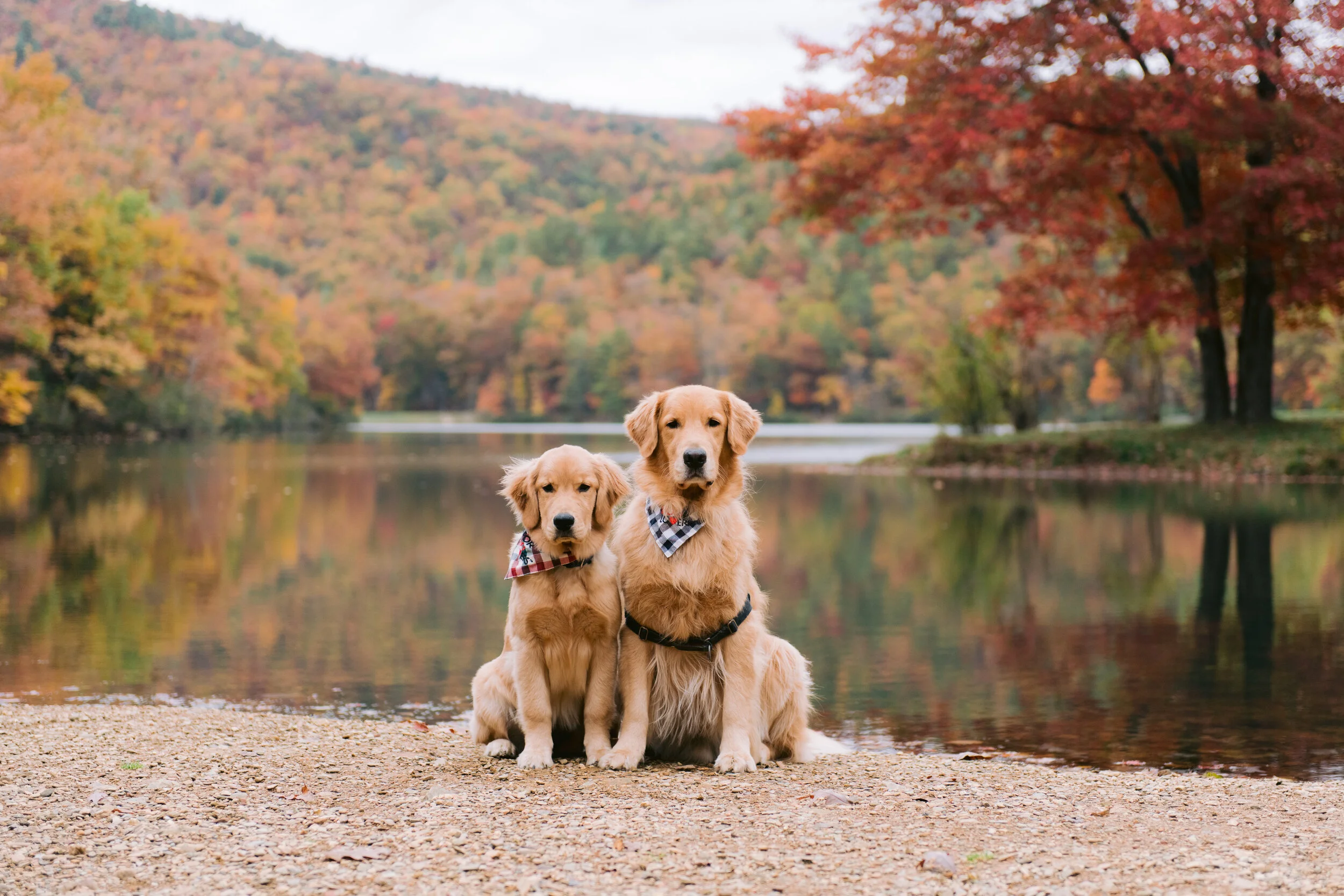 10Oct_BRPSherando - 17-2.jpg