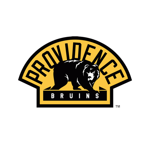 Providence Bruins Night