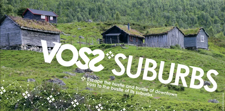 vossasuburbs_flexslider.JPG