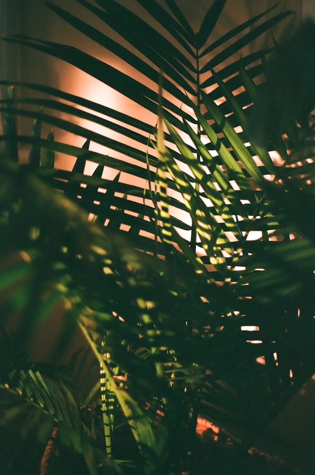 000528310016.jpg