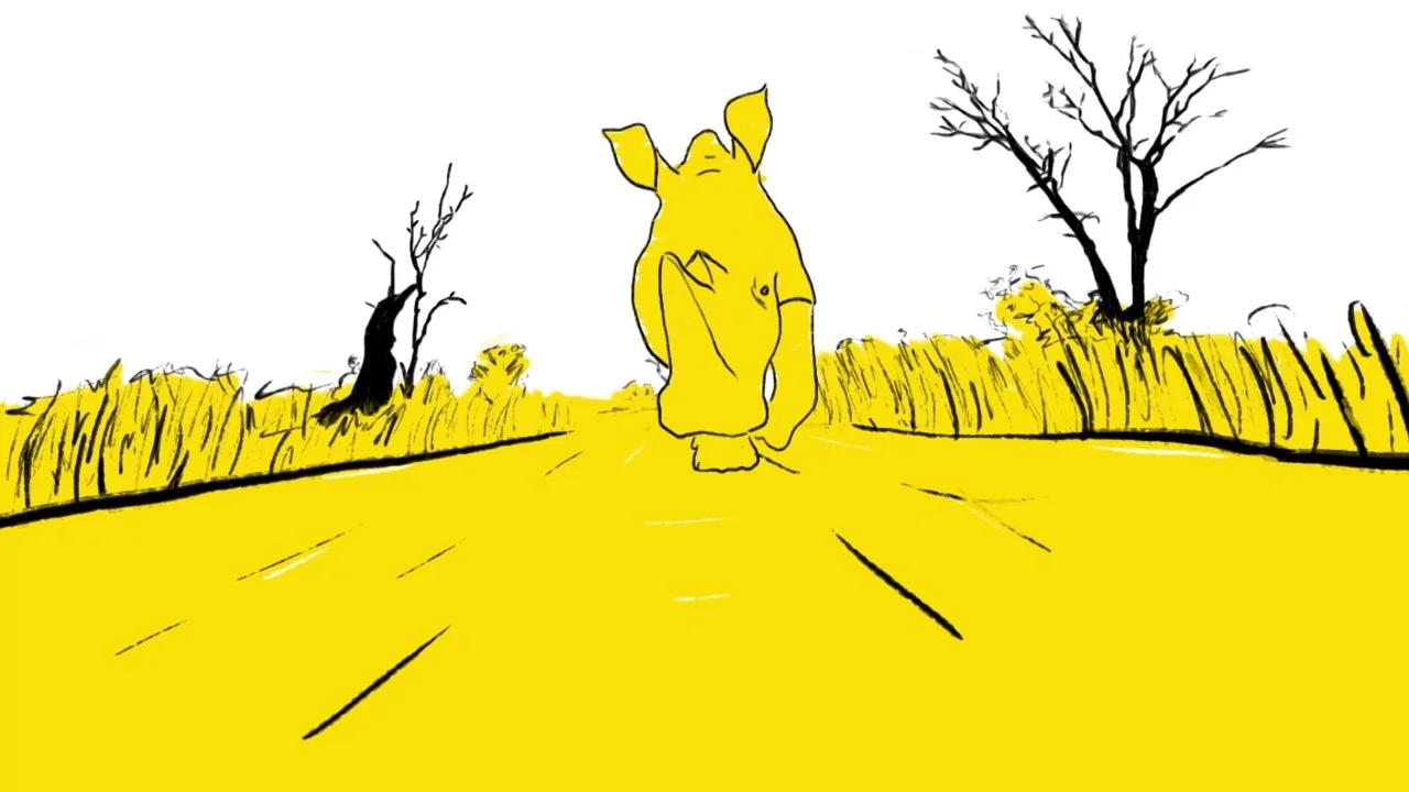 National Geographic Network ID