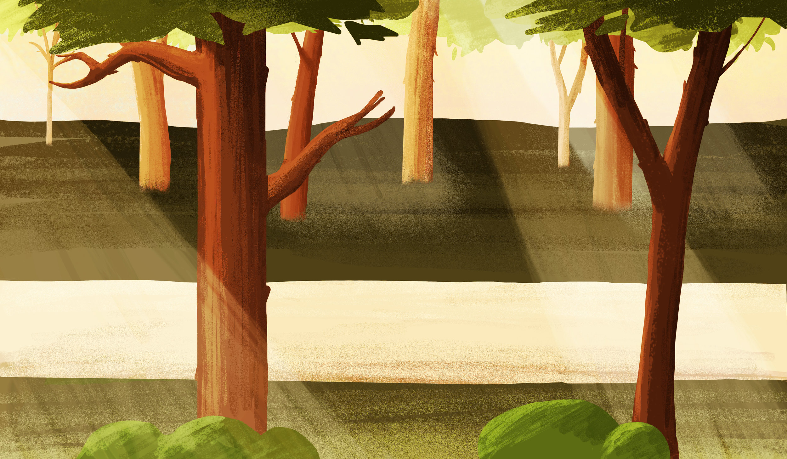 forest.jpg
