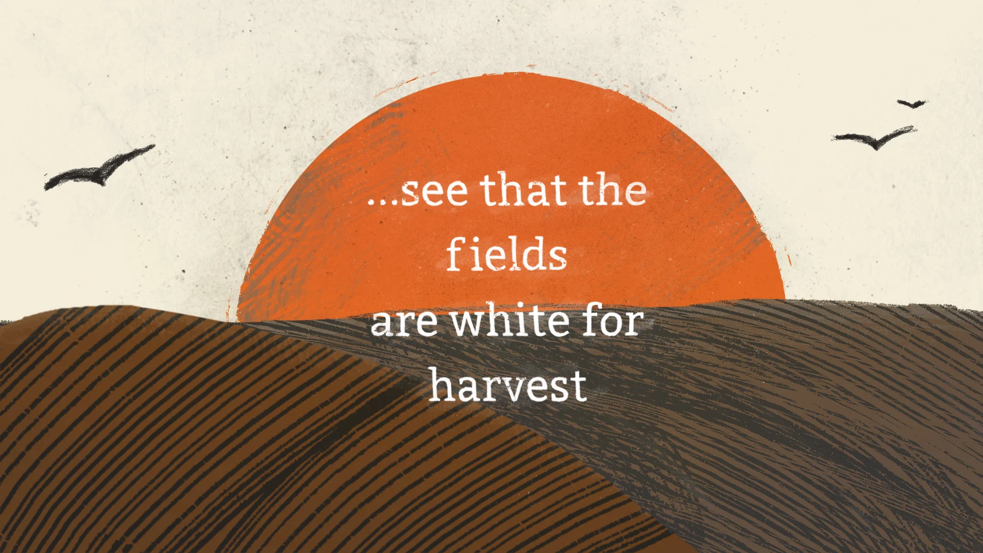 harvest-1.jpg