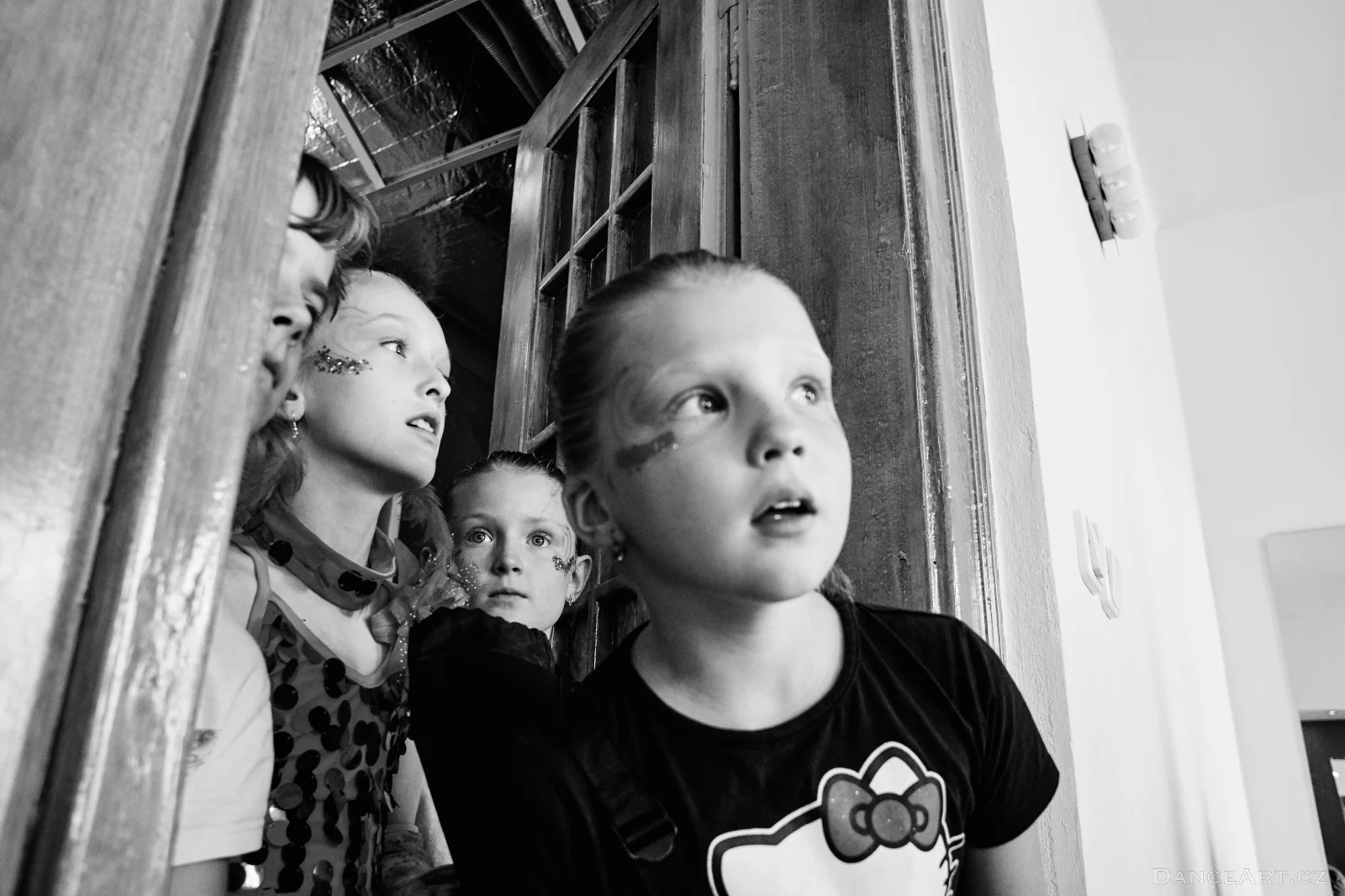 DanceArt_Akademie_2015_michalfanta__0500.jpg