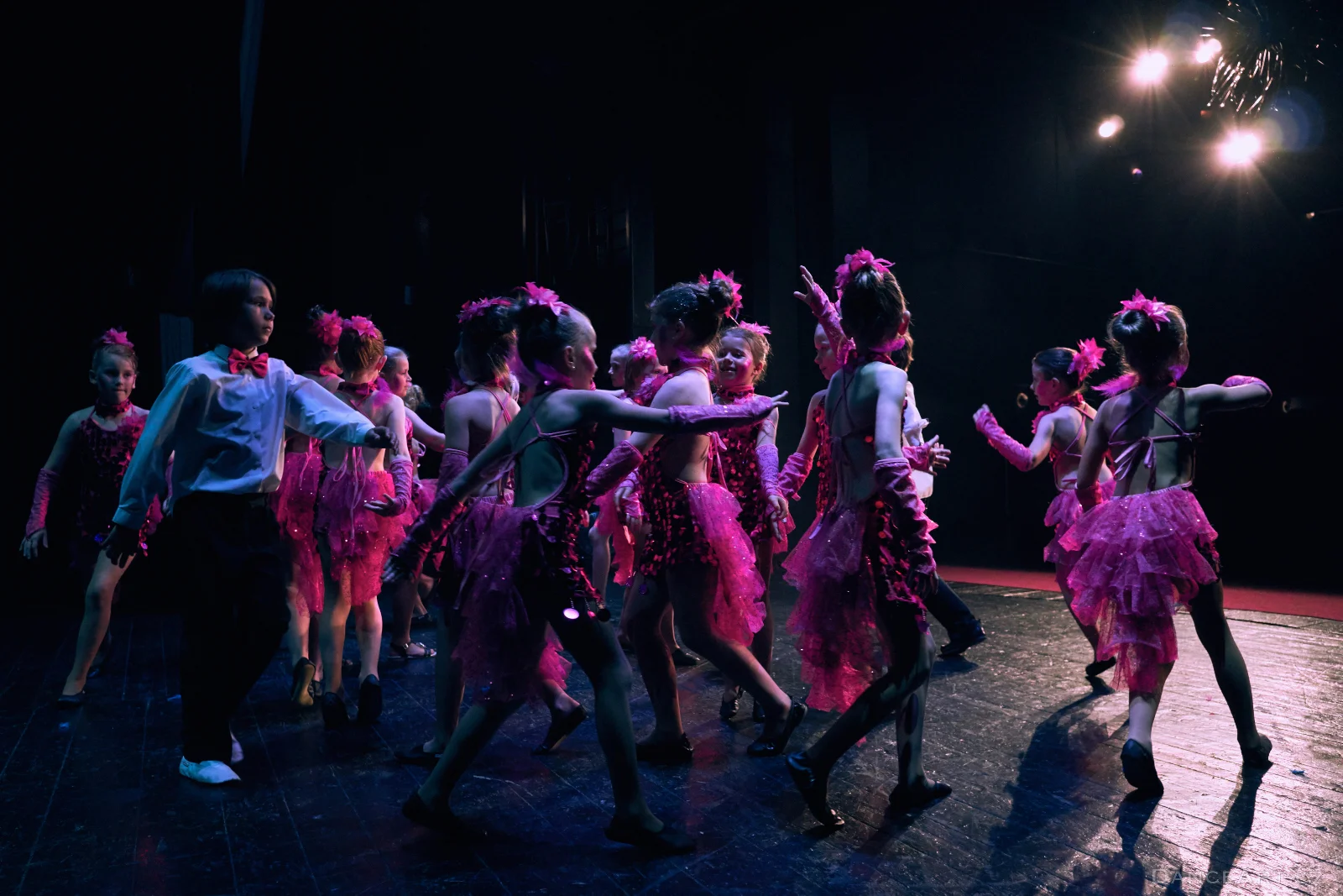 DanceArt_Akademie_2015_michalfanta__0579.jpg