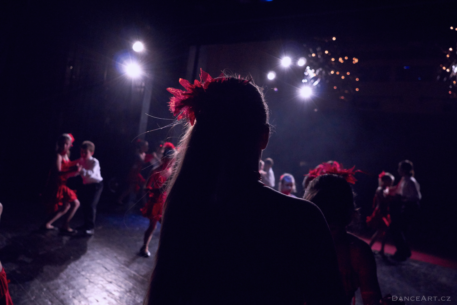 DanceArt_Akademie_2015_michalfanta__0584.jpg