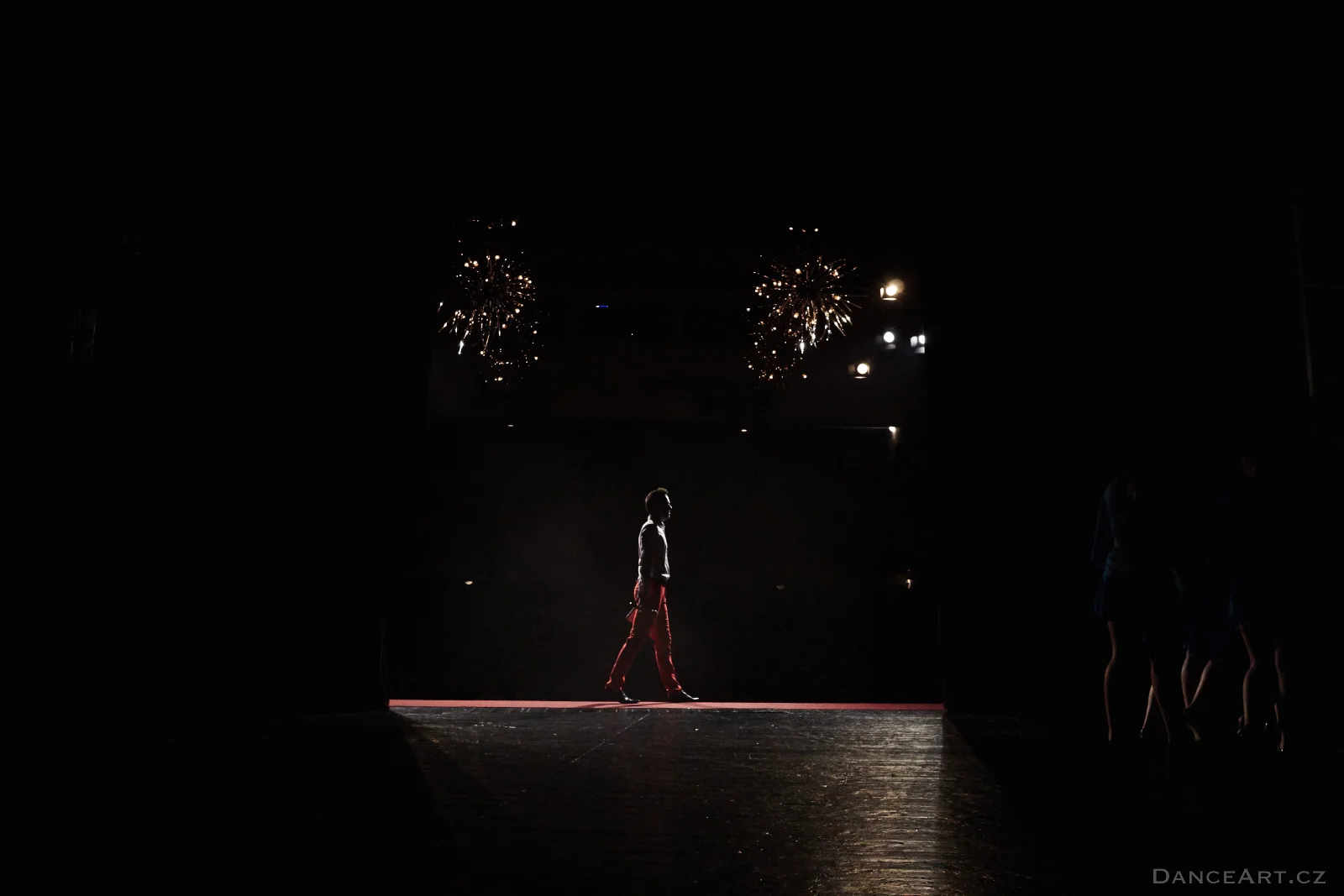 DanceArt_Akademie_2015_michalfanta__0604.jpg