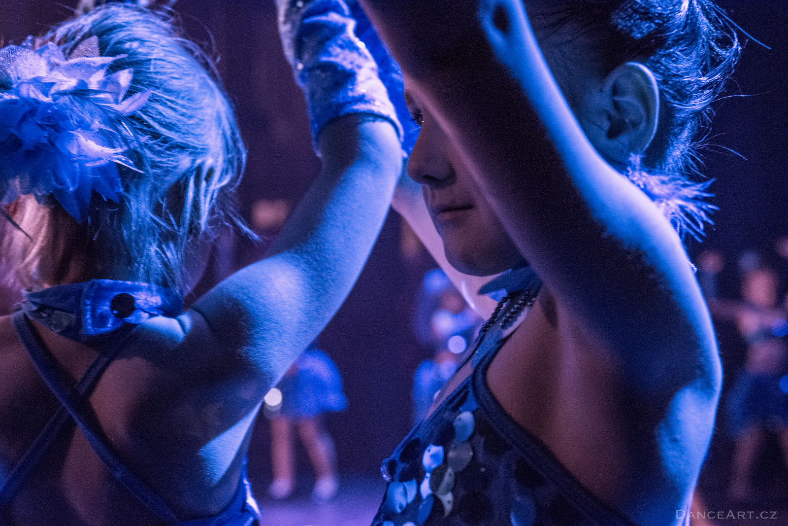 DanceArt_Akademie_2015_michalfanta__0630.jpg