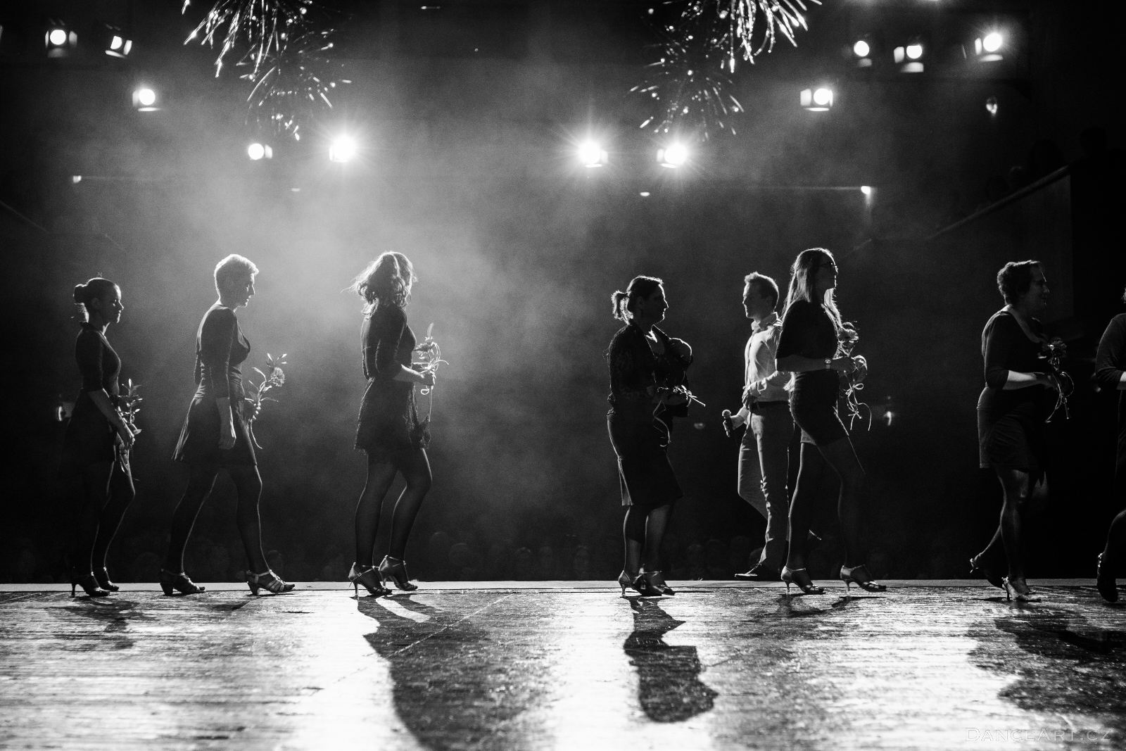 DanceArt_Akademie_2015_michalfanta__0646.jpg